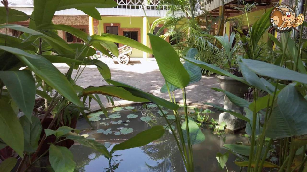 Kep Melting Potes Exterior foto